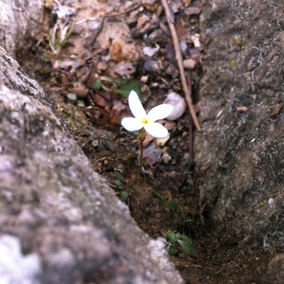 Courthouse Rock Trail, Double Arch, and Mural Gulch
